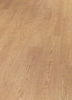 Roble americano