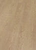 Roble miel
