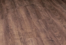 Dynasty Oak