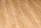 venice Oak