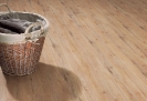 White Oak