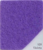 520 Violeta